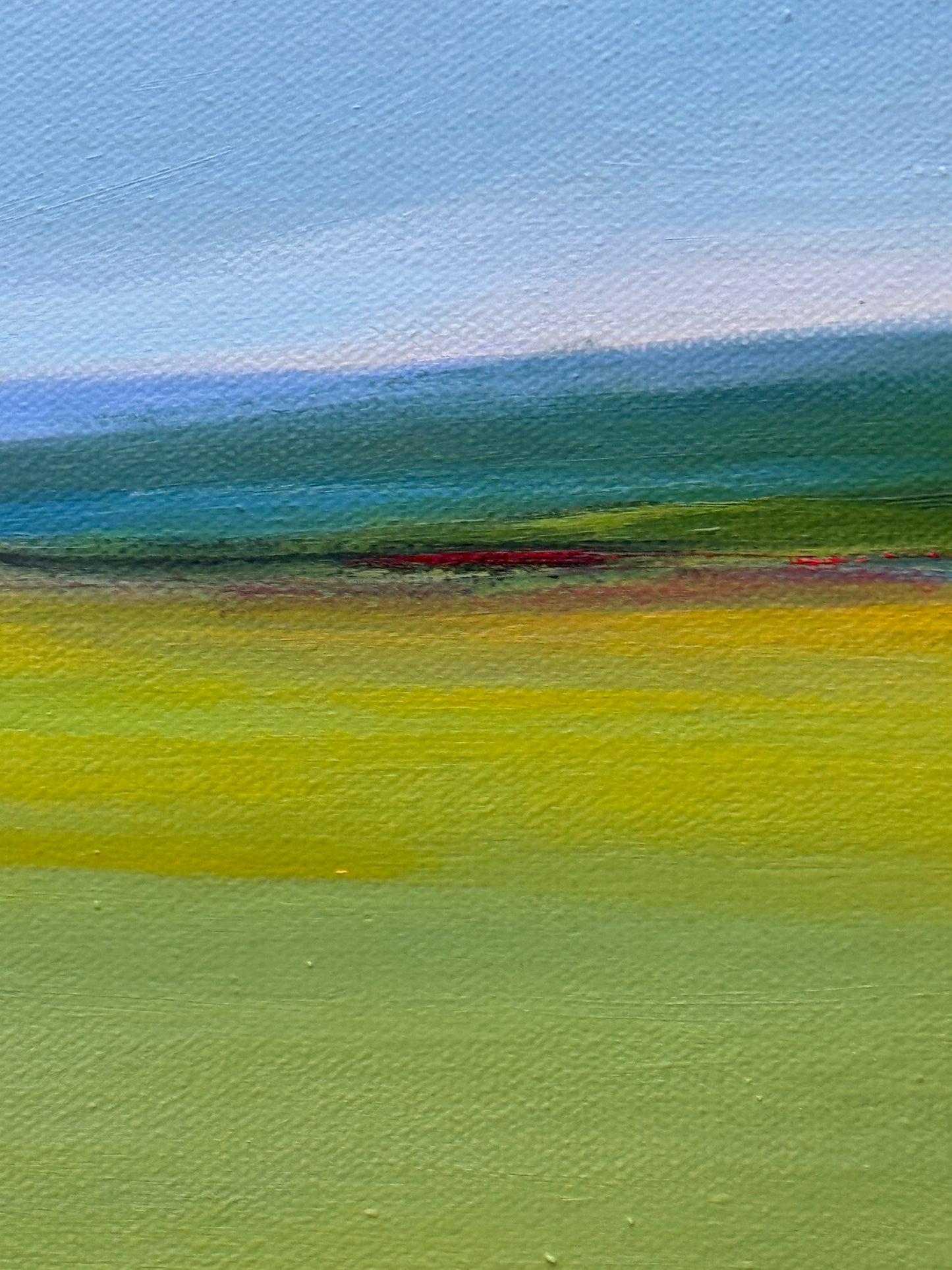 Fields Where Silence Blooms