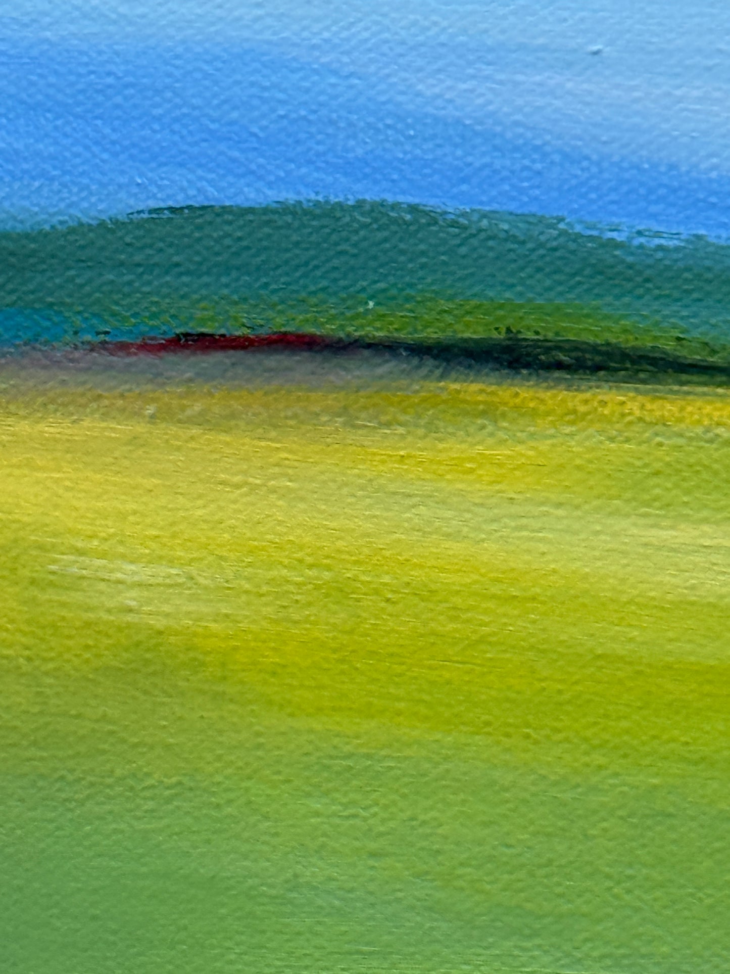 Fields Where Silence Blooms